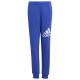 Adidas Παιδικό παντελόνι φόρμας Essentials Big Logo Pants